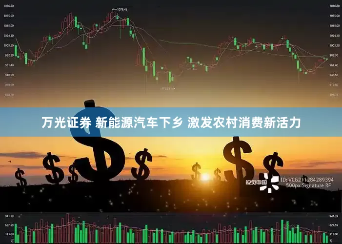 万光证券 新能源汽车下乡 激发农村消费新活力