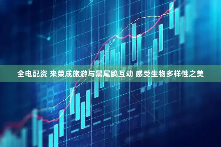 全电配资 来荣成旅游与黑尾鸥互动 感受生物多样性之美